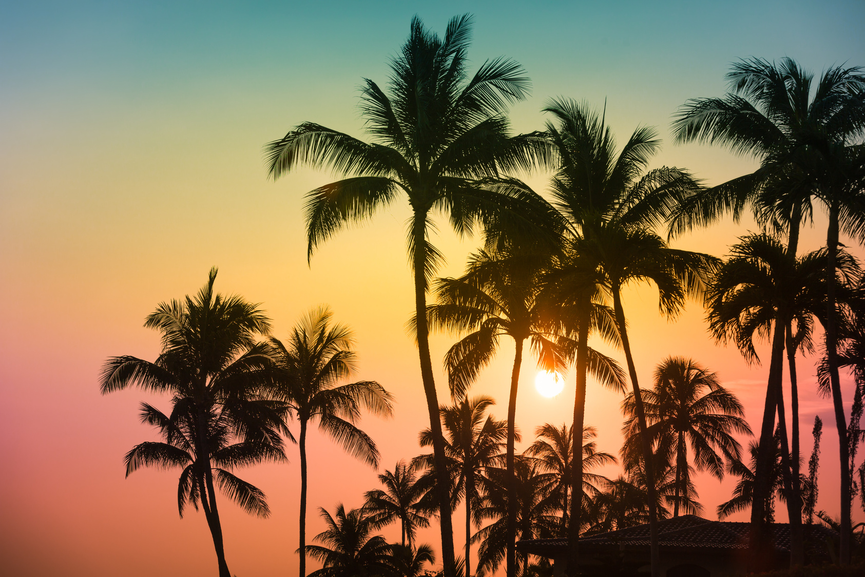 Tropical island sunset